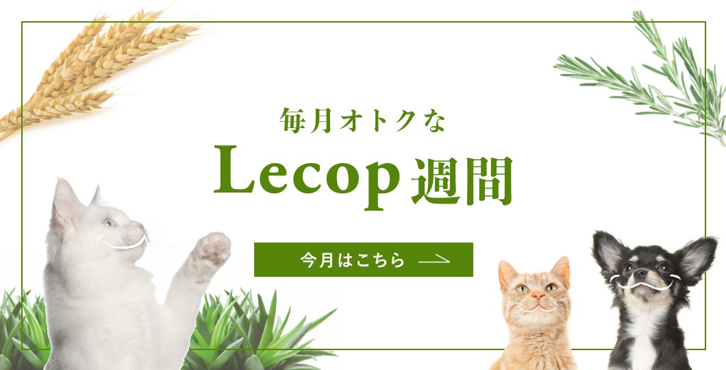 Lecop